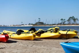 Dauphin Island Kayak & Bicycle Rentals