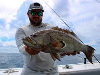Angler holding up a gag grouper caught while offshore fishing in Orange Beach