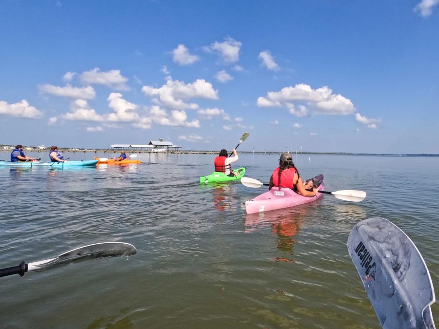 Paint & Paddle Kayak Trip with the Wind and Water Learning Center in Orange Beach
